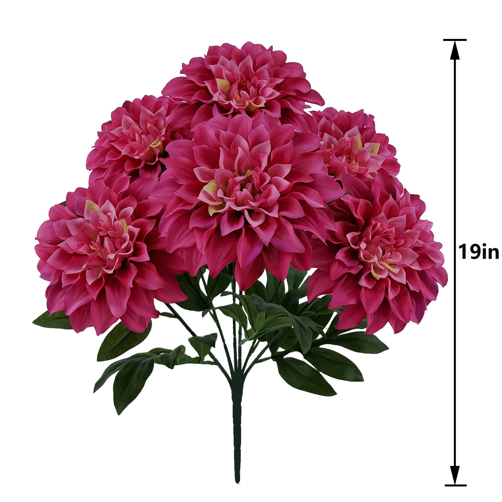 19" Dahlia Bush by Ashland